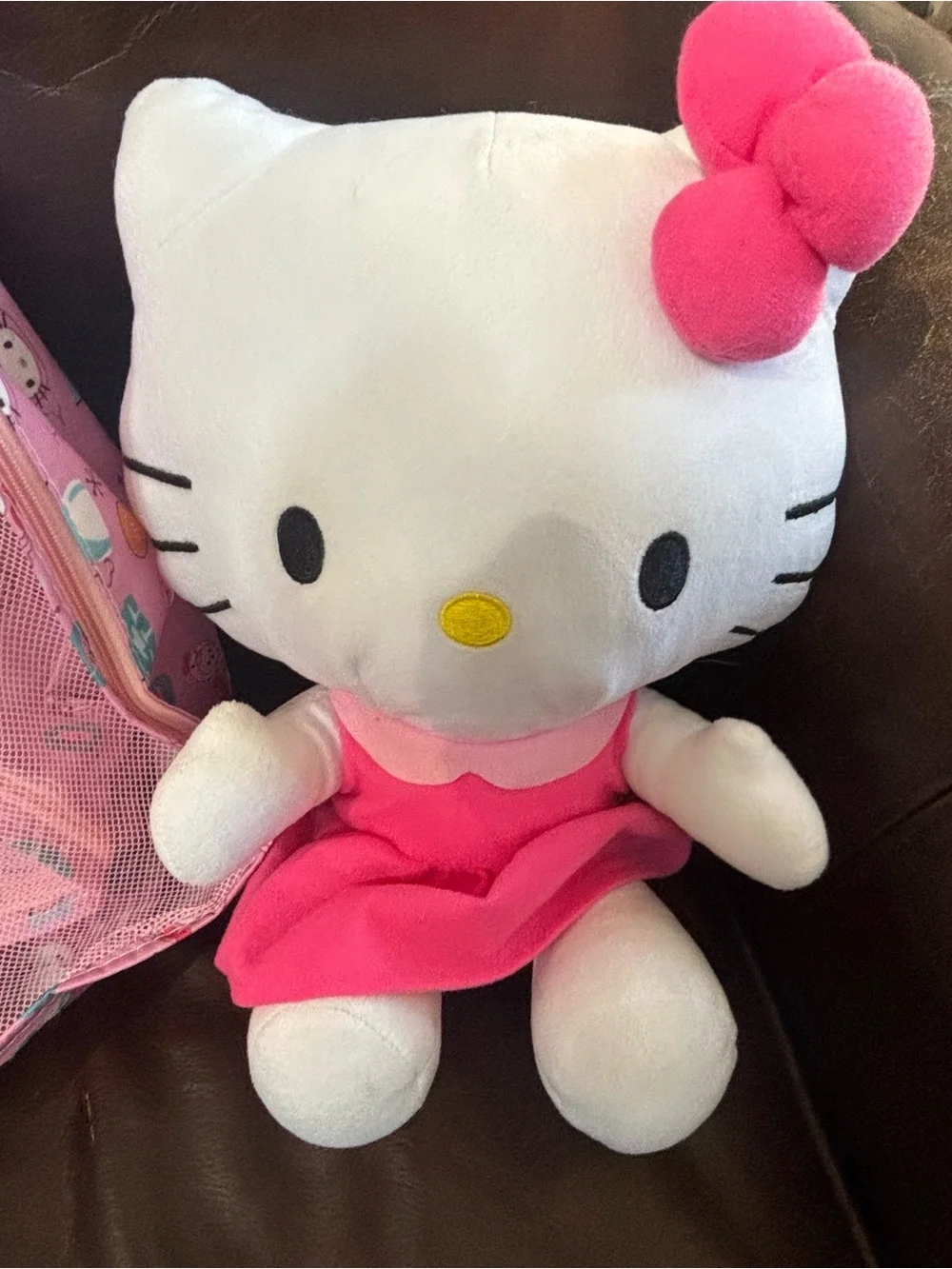 Hello Kitty Pink Mesh storage Bags with Character Print